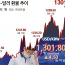 그냥 심심해서요. (15645) 환율 1300원 뚫렸다 이미지