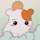 달빛에 머물다 이미지