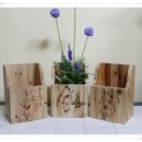 나무와사람들 이미지