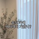 파티세리안온