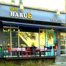 하루에(Harue) 이미지