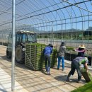 곡성-122 이미지