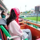 SSG랜더스 요기요 3루 내야패밀리 시야 리뷰│먹방+시야 모두 만족했던 자리 (+벚꽃유니폼🌸)