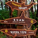 선암호수공원축구장 이미지