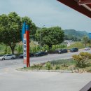 감자보리밥 - 홍천군 | 영월 청령포 맛집, 감자바우 강원도 토속 음식 옹심이와 보리밥 내돈내산 후기