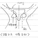 대신종축 이미지