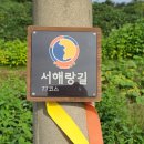 팔봉초등학교 이미지
