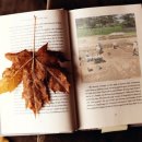 나라족발보쌈 이미지