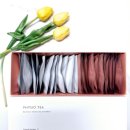 삶에 자연을 채우다 이미지