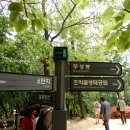 철쭉공원 이미지
