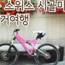 하이디여행사 이미지