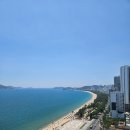 리젠시가구 - 고양시 일산동구 중앙로 1129 | 나트랑 하얏트 리젠시 룸 후기, 넓은 베란다와 어라운드 바다뷰 감동