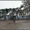 현내리 도원정사 이미지