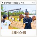 필농장 | 상주여행 아이랑 필수코스 [파머스룸 카페농장] 🐎🐑🐇초등아이와 방문 후기, 동물 먹이주기 가능한 농장카페