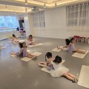 발레무용전문발레비솔르학원