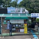 제주 무태장어 서식지 | [제주도🍊] 제주 관광명소 추천 II (정방폭포, 천지연폭포, 섭지코지)