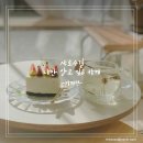샤로수길 첫 방문 후기- Lilt 카페, 아열대 카페
