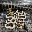 싱싱민물장어세상 이미지