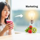 플랜씨마케팅