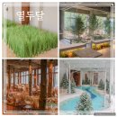 밀양 카페 열두달 손대면 핫플 동네멋집 대형카페 주차장 메뉴 아트샵 내돈내산 후기