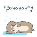 멍줍강아지산책유치원 이미지