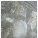 바다속으로실내포차