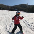 웰리힐리파크스키강습아카데미