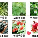 헤어솔루션 이미지