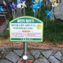 봉성산 공원 이미지