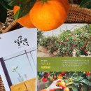 얼쑤농장 이미지