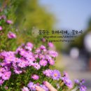 신데렐라네일
