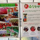 수실농원