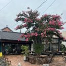 옥토상사 이미지