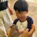 사랑숲유치원 | 동탄(에서 보내고 있는) 숲유치원 후기 (도담도담숲유치원)