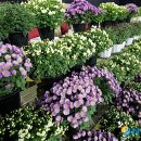 충남정심원 이미지