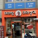 마라의유혹 이미지