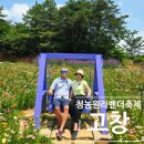 5월 전북 축제 고창 청농원 라벤더 축제 기간 및 주차 꿀팁 정리