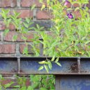 강남가스상사 이미지