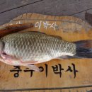 이박사낚시