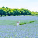 (주)수레 이미지