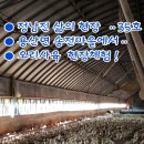 오리산단6로 이미지