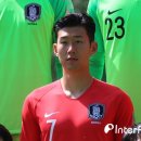 팀레오 이미지
