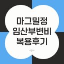 정약국 | 마그밀정 임산부 변비 약국 처방 복용 후기와 복용법 정리
