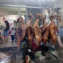 오리와돼지 이미지