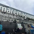 국화약국 이미지