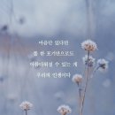 신묘 이미지