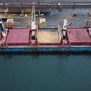 트럼프-시진핑 통화 후 중국, 미국산 대두 수입 이미지