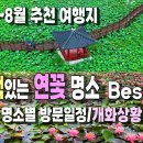 [동영상] 특색있는 연꽃 명소 8곳 소개 이미지