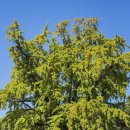 봉암리마을회관 이미지