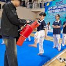 주호태권도 이미지